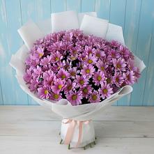 Букет цветов из:  Хризантемы в Грачевке Ставропольского края