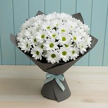 Букет цветов из:  Хризантемы в Грачевке Ставропольского края