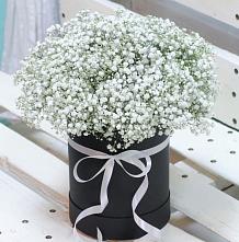 Цветочная композиция из Гипсофила в шляпной коробке #REPLACE_PRED# Грачевке Ставропольского края