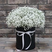 Цветочная композиция из Гипсофила в шляпной коробке в Грачевке Ставропольского края